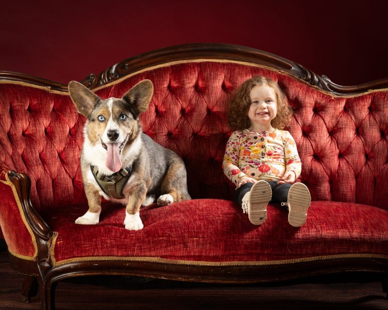 Pets